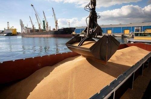 Dry Bulk